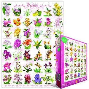 Orchidėjos 1000