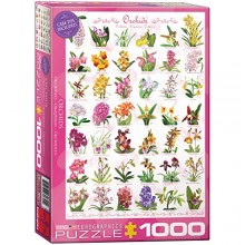 Orchidėjos 1000