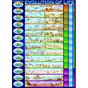 Gyvybės evoliucija