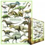 Kreidinio Periodo Dinozaurai 1000 Kreidinio Periodo Dinozaurai 1000