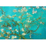 Migdolų medžio šakos. Vincentas Van Gogas 1000