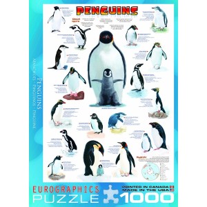 Pingvinai