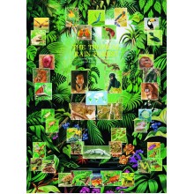 Tropiniai Drėgnieji Miškai 1000