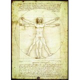 Vitruvijaus Žmogus. Leonardas Da Vincis 1000